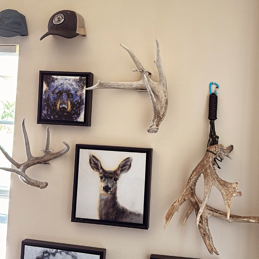 Shed Antler Anchor Single - Booner Size (Left Antler)