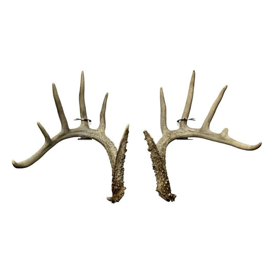 Shed Antler Anchor Set - Original Size (WHITE OUT EDITION)