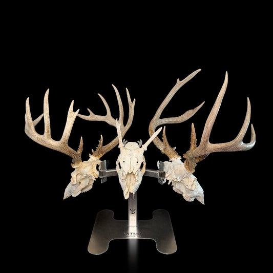 Triple Crown Pedestal + 3 BLACK LABEL EDITION European Mount Hangers