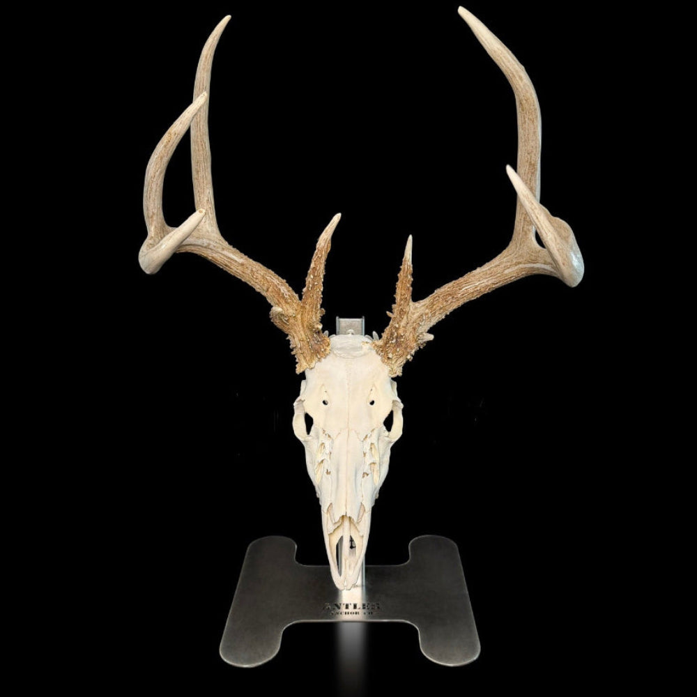 Triple Crown Pedestal + 3 European Mount Hangers