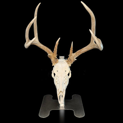 Triple Crown Pedestal + 3 European Mount Hangers - Black Label