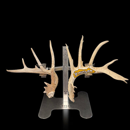 Triple Crown Pedestal