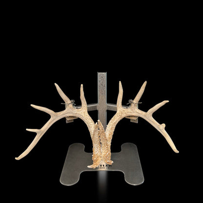Triple Crown Pedestal