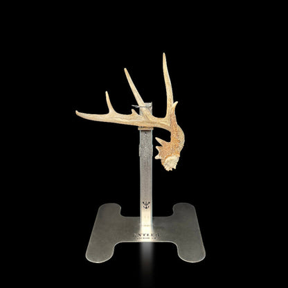 Triple Crown Pedestal