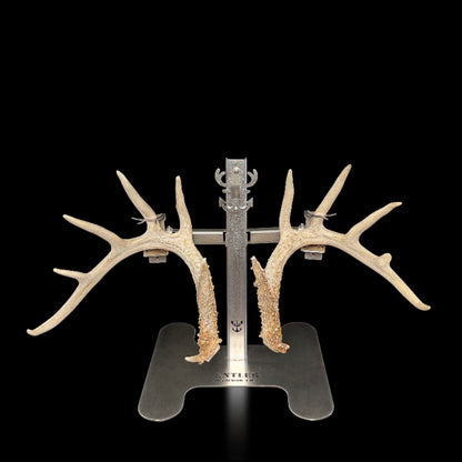 Triple Crown Pedestal + Euro + Original Shed Hanger Set