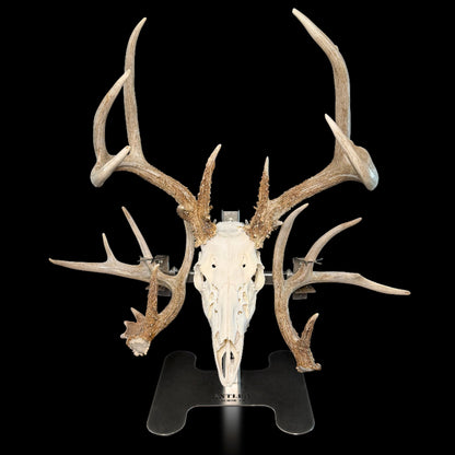 Triple Crown Pedestal with Black Label European and shed hangers