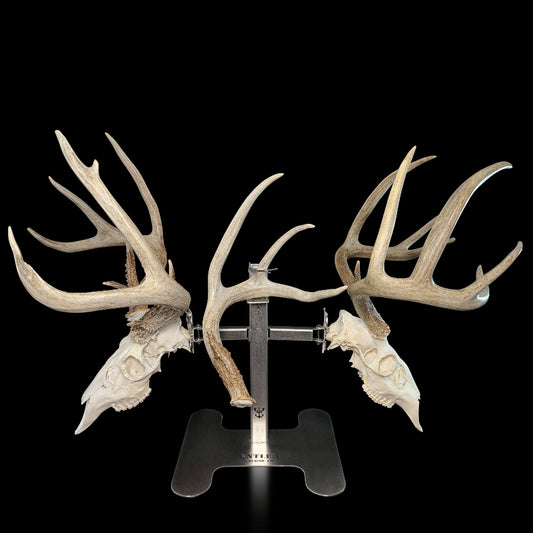 Triple Crown Pedestal