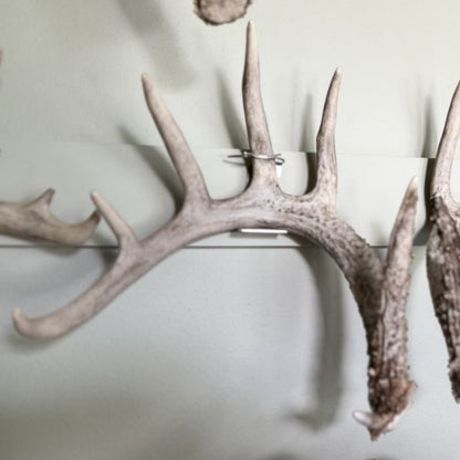 Shed Antler Hanger Set - Original Size - White Out