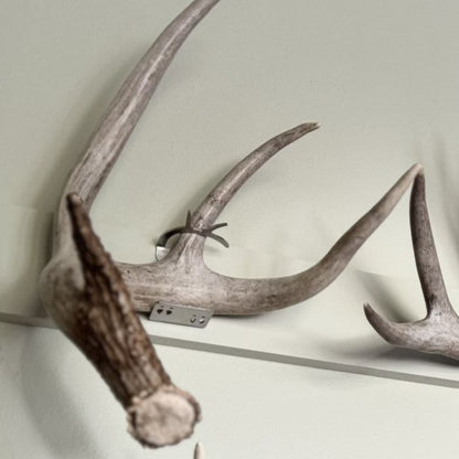 Shed Antler Hanger Set - Original Size - White Out