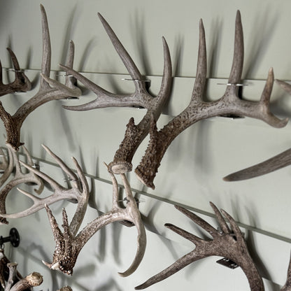 Shed Antler Hanger Set - Original Size - White Out