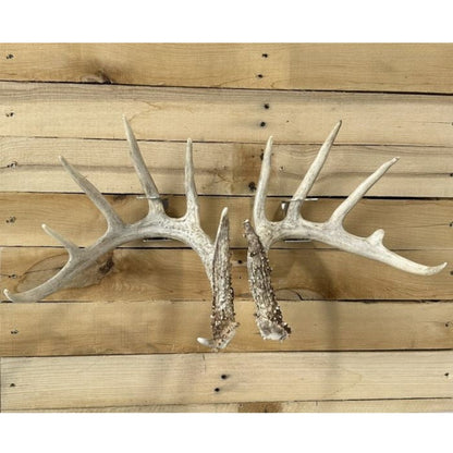 Shed Antler Hanger Set - Original Size - White Out