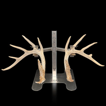 Triple Crown Pedestal + Euro + Original Shed Hanger Set - Black Label