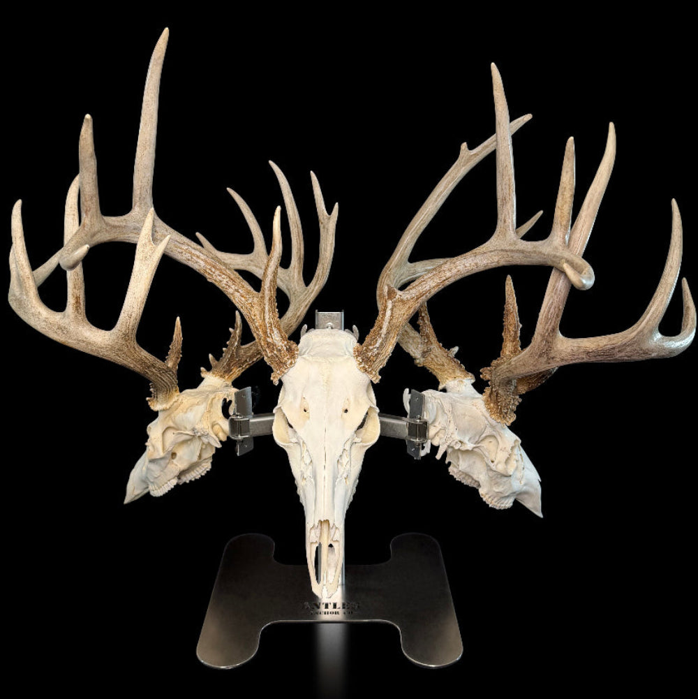 Triple Crown Pedestal + 3 European Mount Hangers