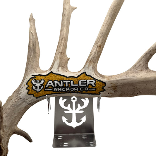 Tabletop Antler Anchor