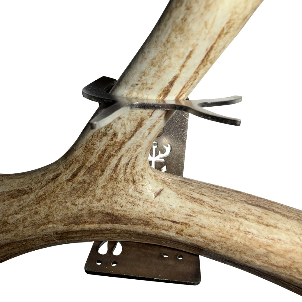 Shed Antler Anchor Single - Booner Size (Left Antler)