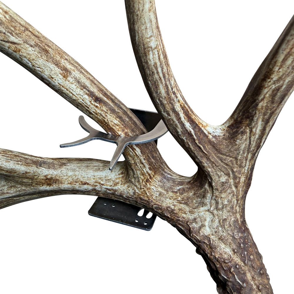 Shed Antler Hanger Single - Slob Knocker Size (Right Antler)