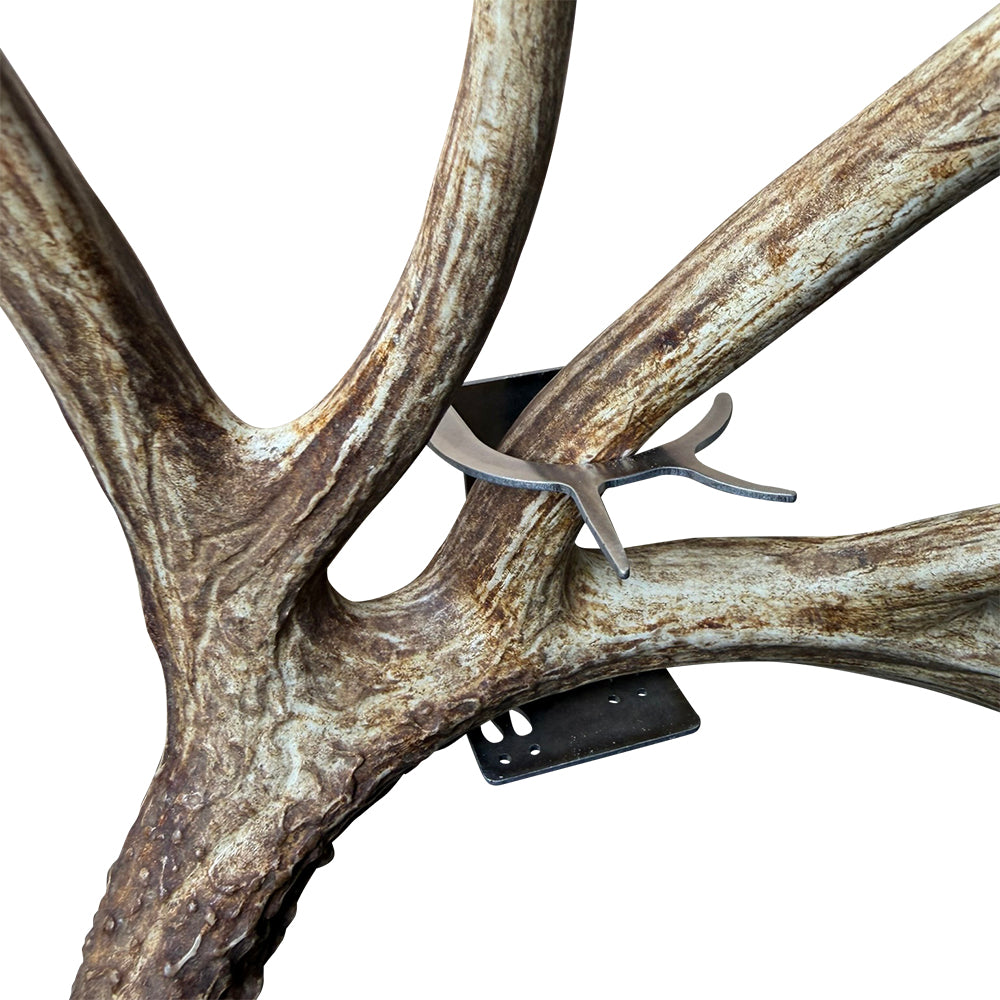 Shed Antler Hanger Single - Slob Knocker Size (Left Antler)