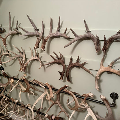 Shed Antler Hanger Set - Slob Knocker Size - White Out