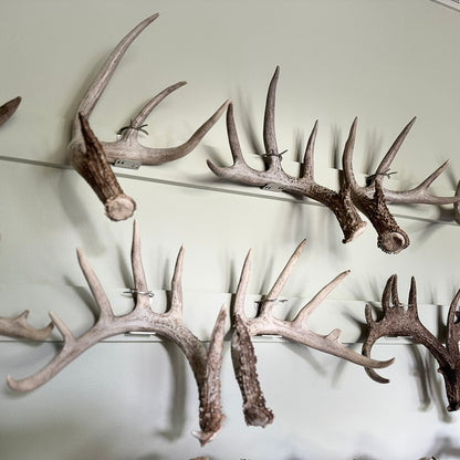Shed Antler Hanger Set - Slob Knocker Size - White Out