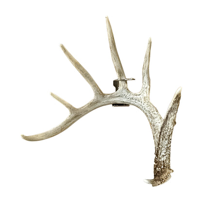 Product photo of right Original shed antler hanger