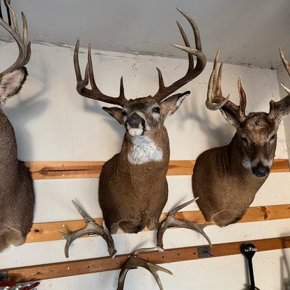 Shed Antler Hanger Set - Original Size - White Out