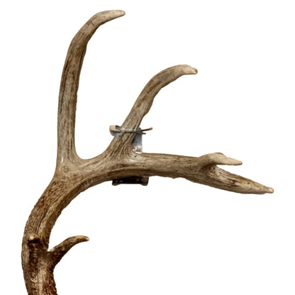 Shed Antler Hanger Set - Booner Size - White Out