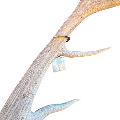 Elk Shed Antler Hanger Set - White Out