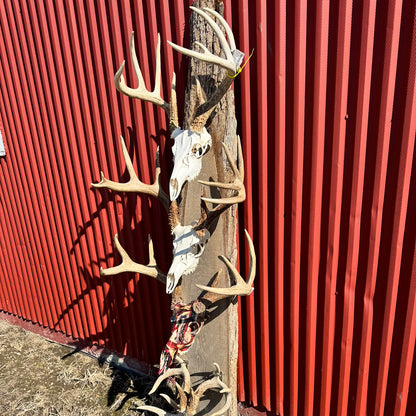 Triple Crown Pedestal + 3 European Mount Hangers - Black Label