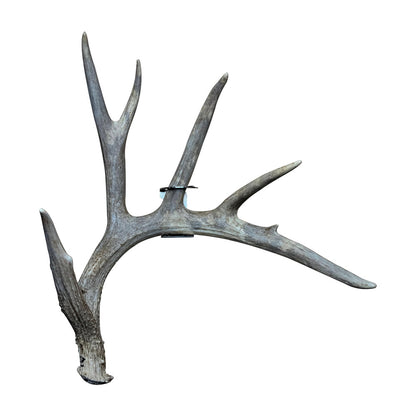 Product photo of left Slob Knocker shed antler hanger
