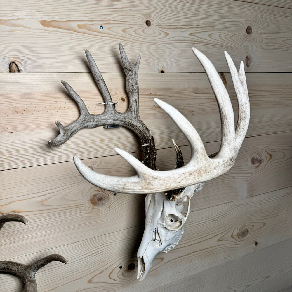 Shed Antler Hanger Set - Booner Size