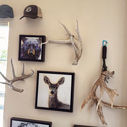 Shed Antler Hanger Set - Booner Size - White Out