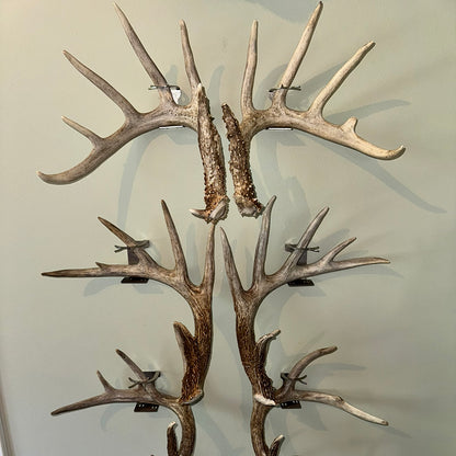 Shed Antler Hanger Set - Booner Size - White Out