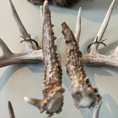 Shed Antler Hanger Set - Original Size - White Out