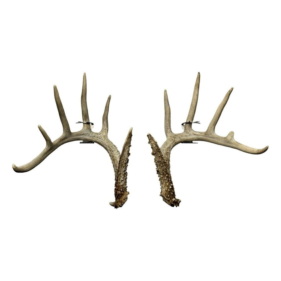 Original size Antler Anchor shed hanger