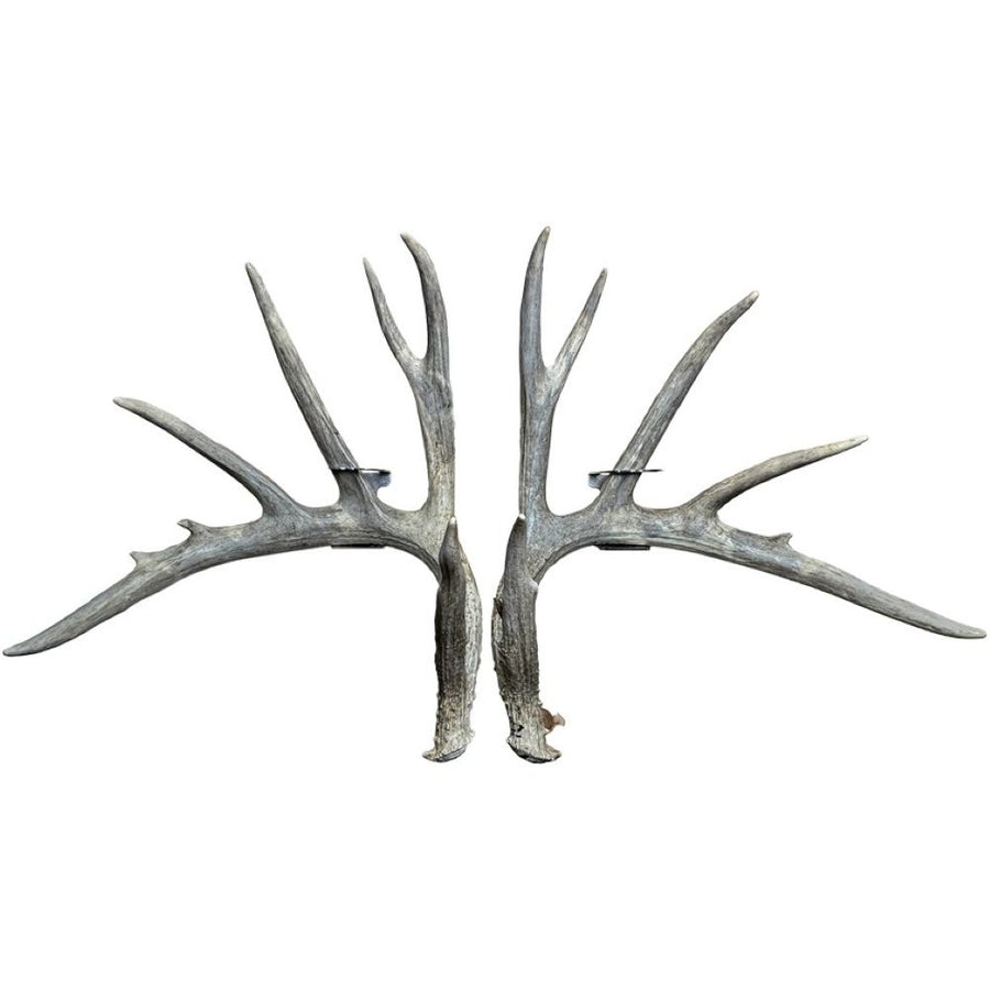 Slob Knocker size shed antler hanger