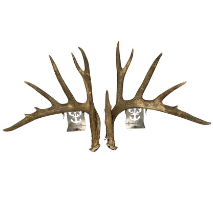 Tabletop Antler Anchor - White Out