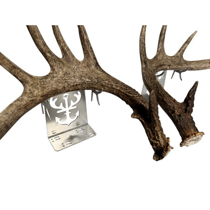 Tabletop Antler Anchor - White Out