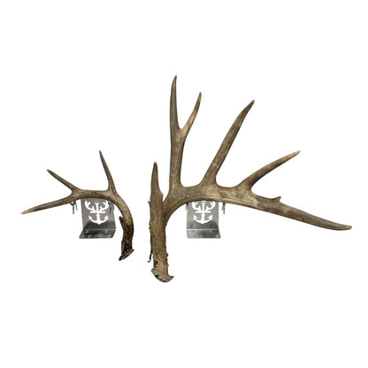 Tabletop Antler Anchor - White Out
