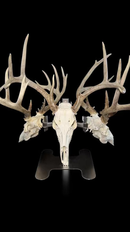 Triple Crown Pedestal + 3 European Mount Hangers - Black Label